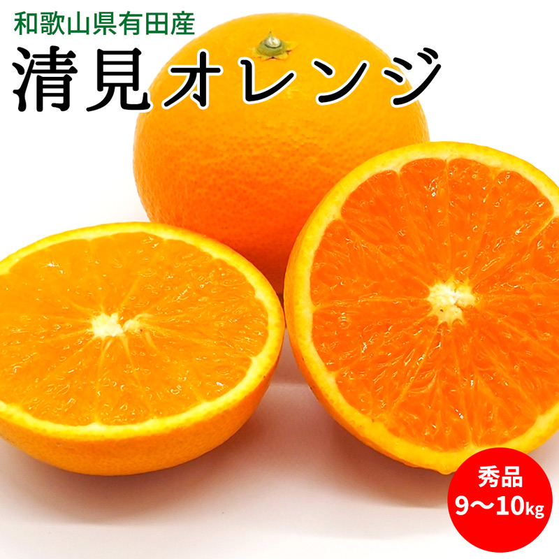 U6229_【先行予約】清見オレンジ 秀品 約9～10kg 和歌山県有田産