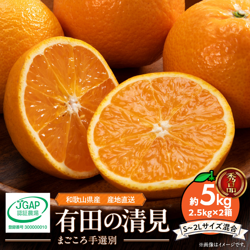 ZE6120n_和歌山県産 有田の 清見 5kg (2.5kg×2箱) (S～2Lサイズ混合)（まごころ手選別）