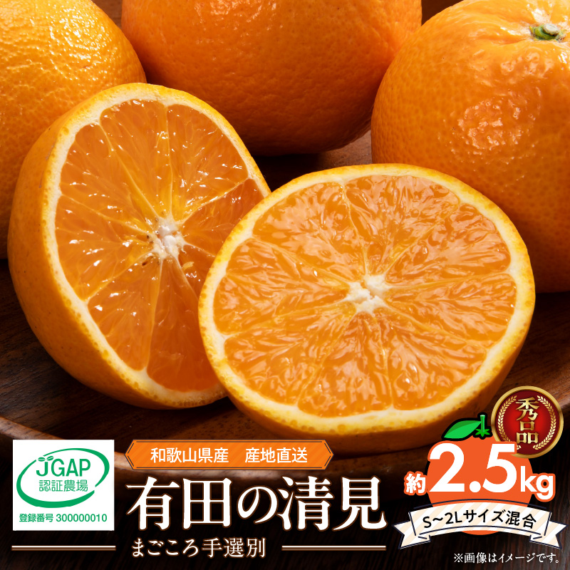 ZE6367n_和歌山県産 有田の 清見 2.5kg (S～2Lサイズ混合)【まごころ手選別】