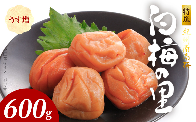 SF2004_特選紀州南高梅「白梅の里」うす塩味　600ｇ