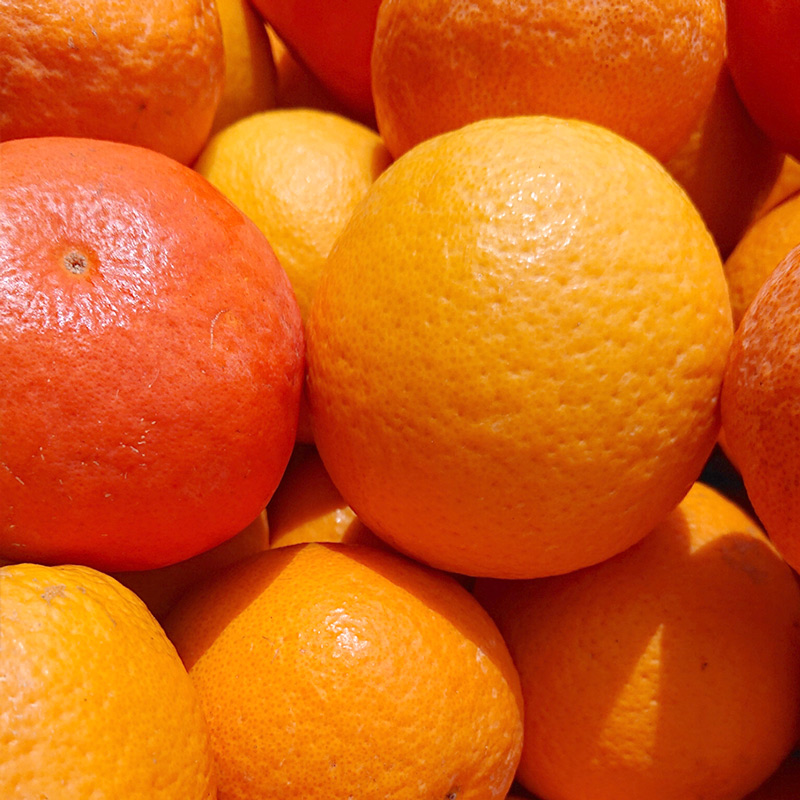 AN6106n_春の柑橘詰め合わせ訳あり5kgサイズ混合（2025年2月下旬より順次発送）