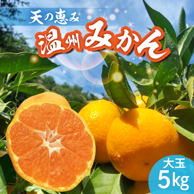 H6004n_【2026年先行予約】天の恵み 温州みかん 大玉5kg【ミカン 蜜柑 柑橘 温州みかん 和歌山】
