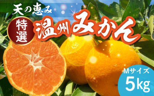 H6005_天の恵み 温州みかん Mサイズ 特選 5kg【ミカン 蜜柑 柑橘 温州みかん 和歌山】