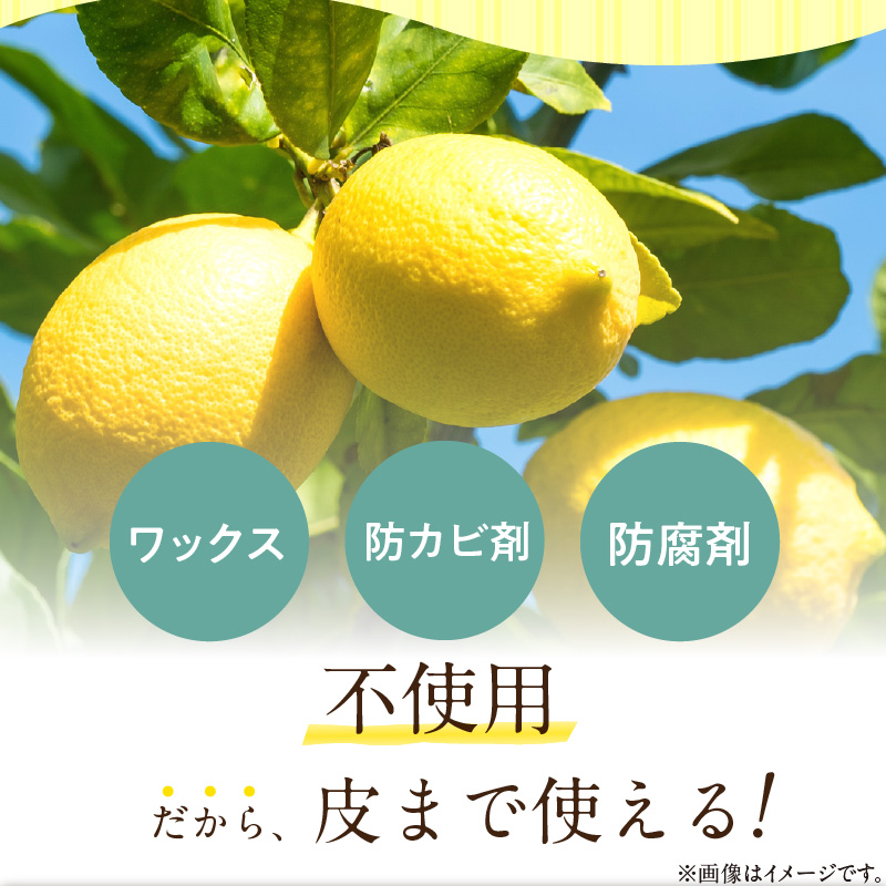EA6009n_和歌山県産 完熟 レモン 5kg 皮まで使用可能（栽培期間中農薬不使用）