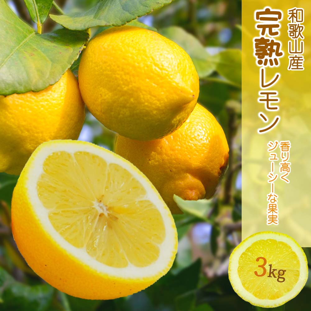 EA6011n_和歌山県産 完熟 レモン 3kg 皮まで使用可能（栽培期間中農薬不使用）
