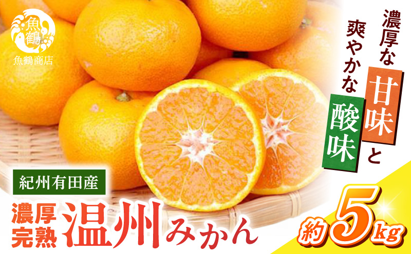 G7043_【2026年11月下旬より発送】紀州有田産 濃厚甘熟温州みかん 5kg