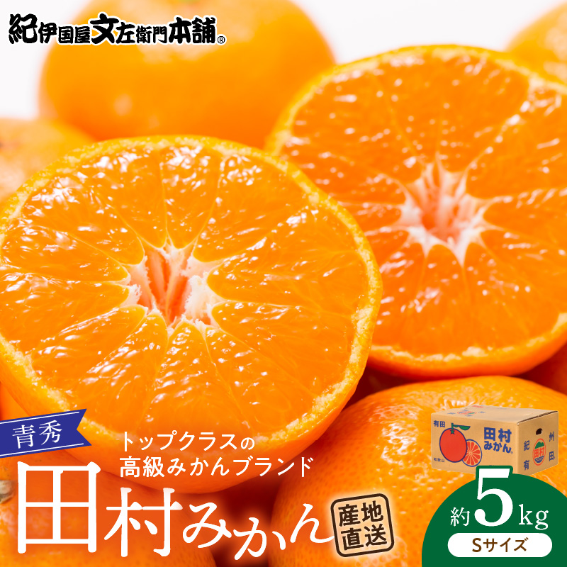 V7449_【2026年先行予約】青秀 田村みかん 5kg Sサイズ