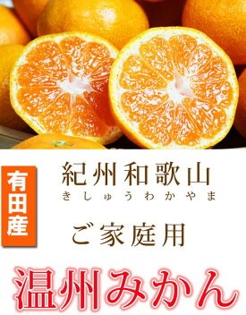G7347_【2026年11月下旬頃より発送】紀州 有田産 濃厚甘熟 温州みかん 5kg【家庭用 訳あり】