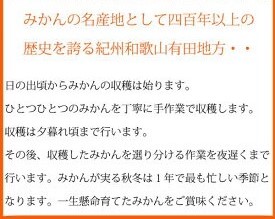 G7045_【2024年 先行予約】紀州 有田産 濃厚甘熟 温州みかん 5kg【家庭用 訳あり】