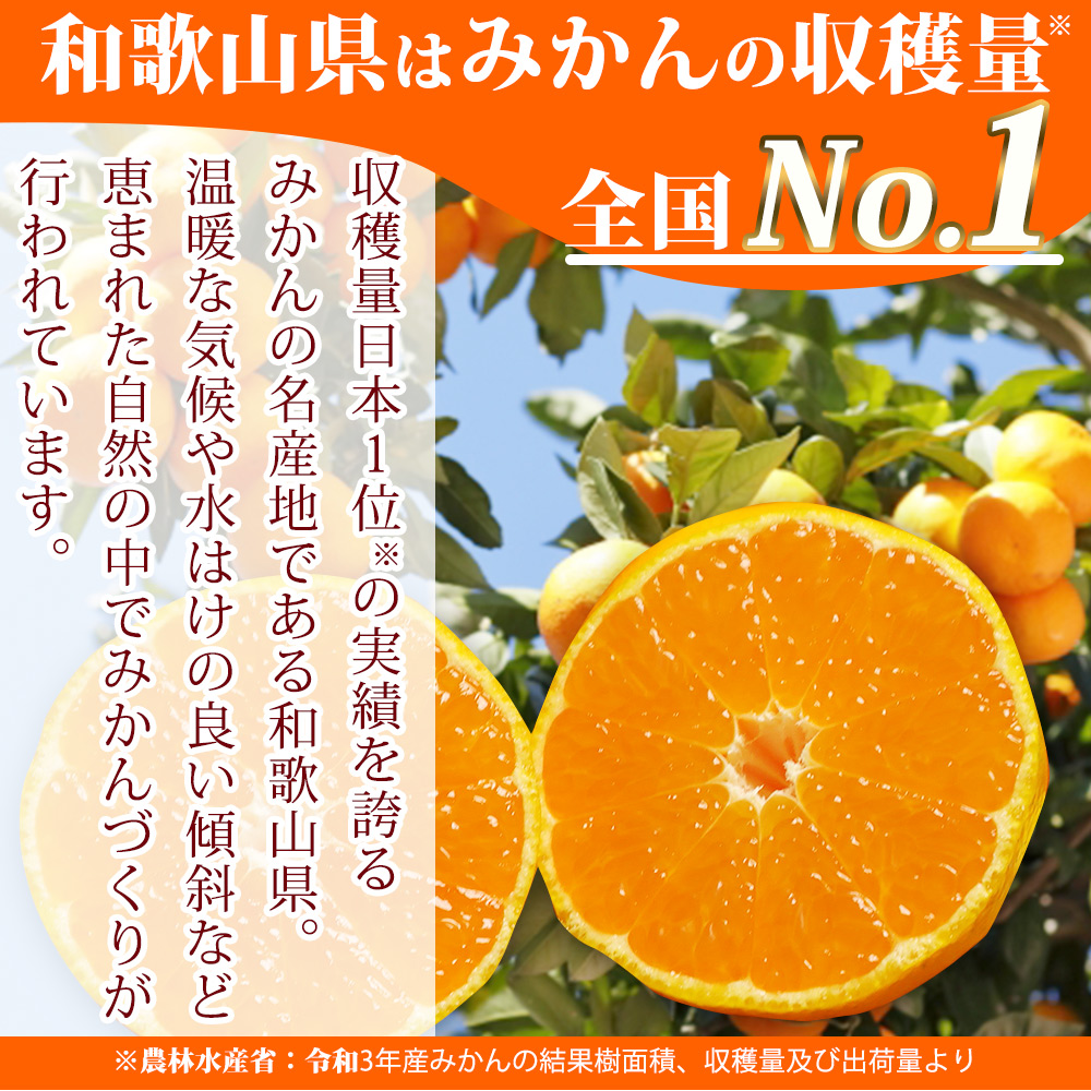 G7053_縲2026蟷エ11譛井ク区流繧医j逋コ騾√鷹ォ倡エ壹ヶ繝ゥ繝ウ繝 逕ー譚代∩縺九s 10kg縲仙ョカ蠎ュ逕ィ 險ウ縺ゅj縲