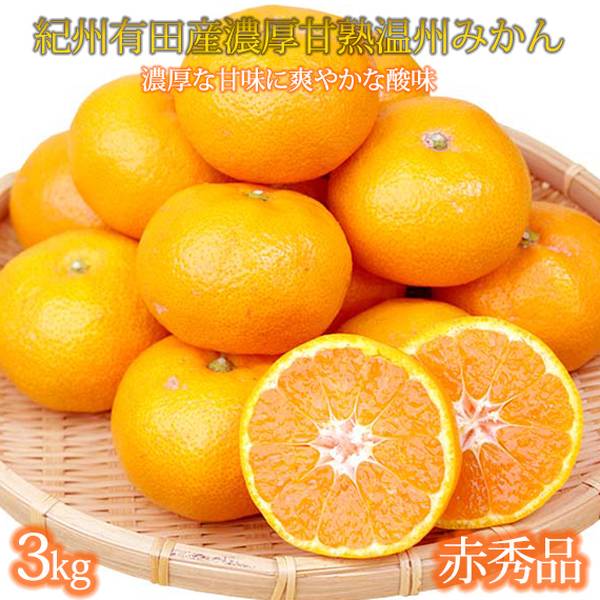 G7042_【2026年11月下旬より発送】紀州 有田産 濃厚甘熟 温州みかん 3kg 赤秀品【ミカン 蜜柑 柑橘 温州みかん 有田みかん 和歌山】
