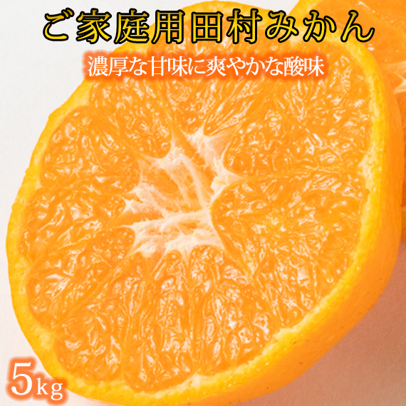 G7342_高級ブランド 田村みかん 5kg【家庭用 訳あり】