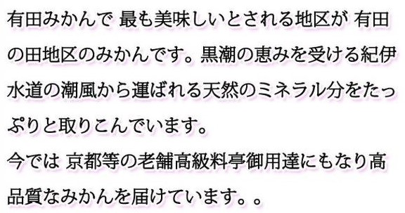 G7342_【2026年11月下旬頃より発送】高級ブランド 田村みかん 5kg【家庭用 訳あり】