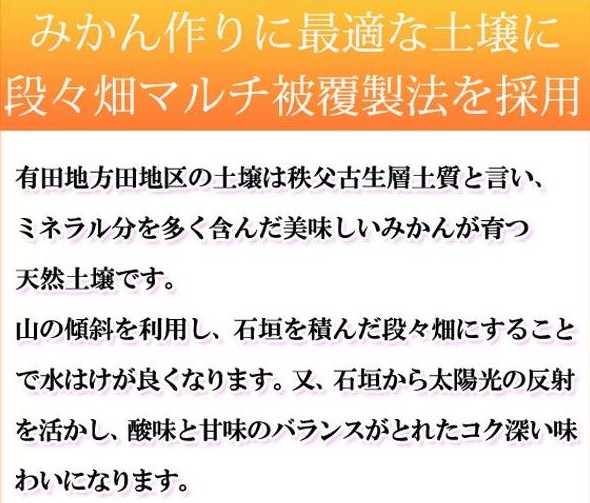 G7049_【2024年 先行予約】高級ブランド 田村みかん 5kg【家庭用 訳あり】