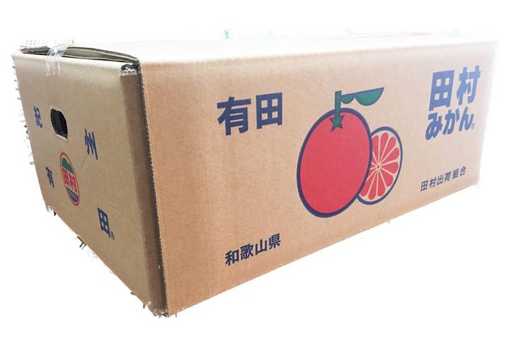 G7342_【2026年11月下旬頃より発送】高級ブランド 田村みかん 5kg【家庭用 訳あり】