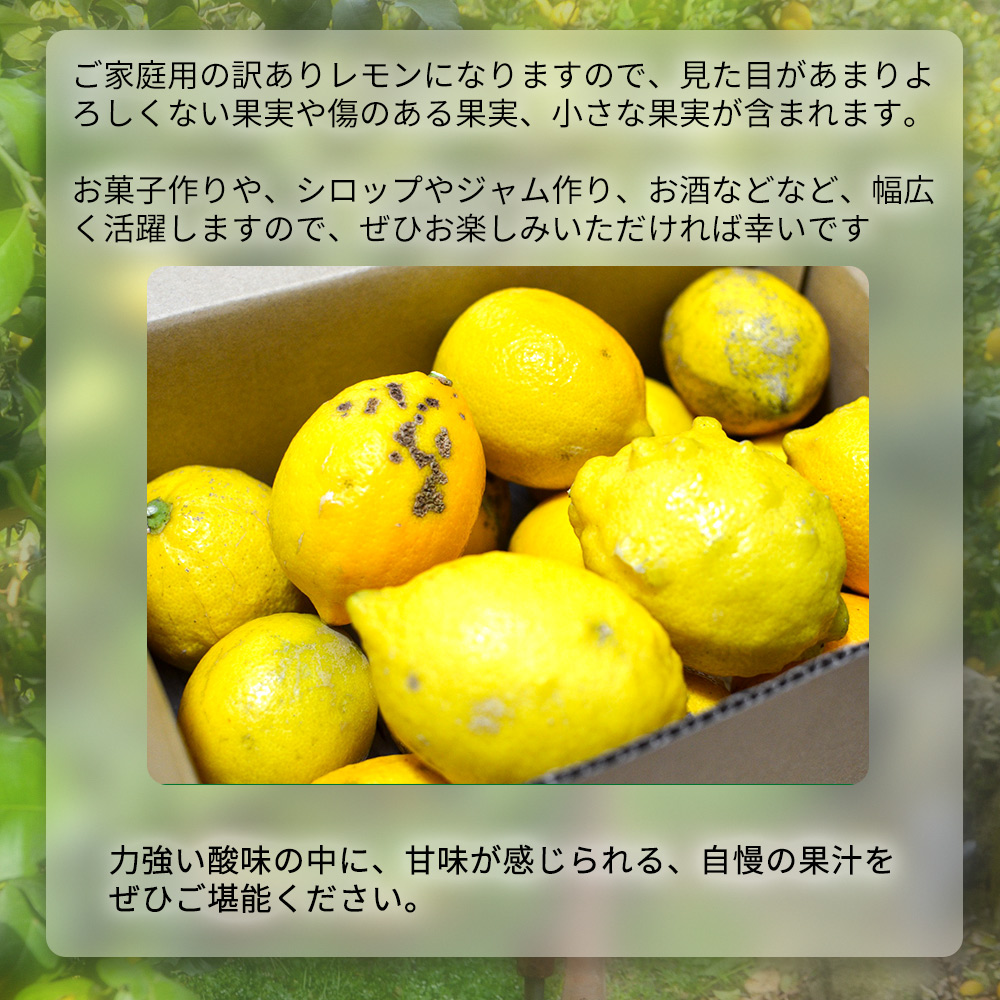 EA6021n_【訳あり・ご家庭用】完熟 レモン 2kg 皮まで使用可能（栽培期間中農薬不使用）