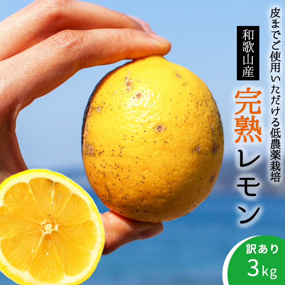 EA6022n_【訳あり・ご家庭用】完熟 レモン 3kg 皮まで使用可能（栽培期間中農薬不使用）