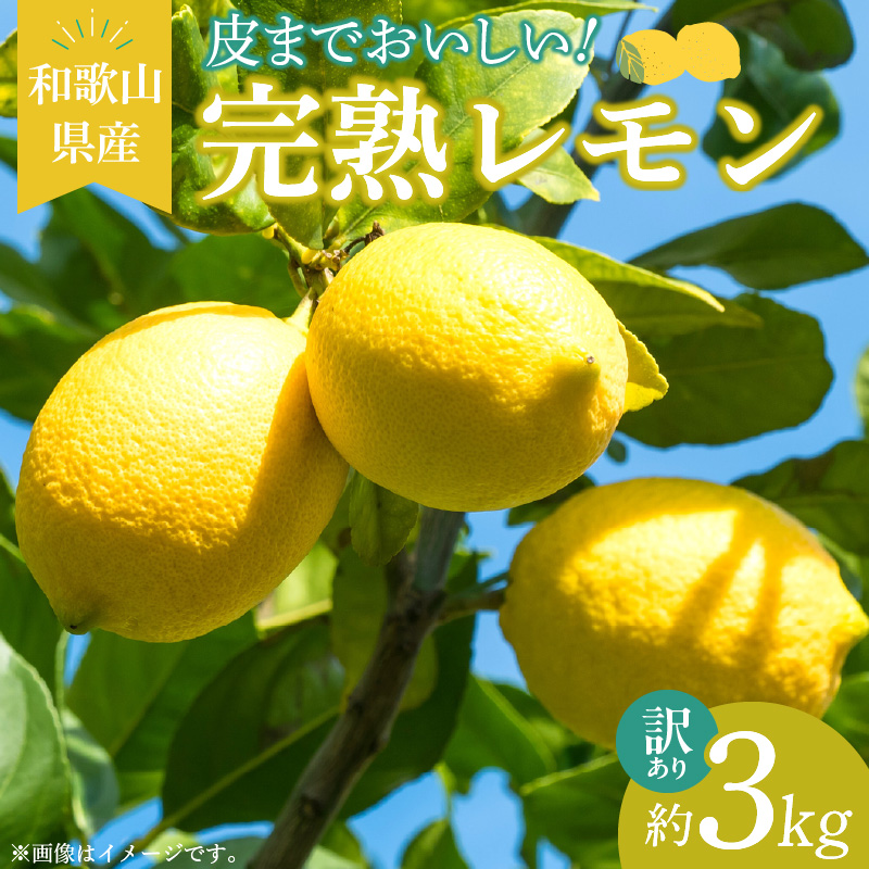 EA6022n_【訳あり・ご家庭用】完熟 レモン 3kg 皮まで使用可能（栽培期間中農薬不使用）