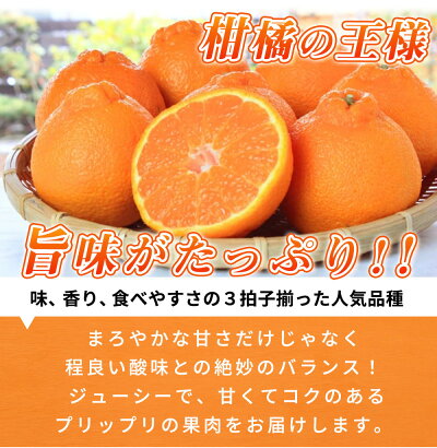 G7063【2026年先行予約】高級ブランド 田村の 完熟紀州デコ(不知火) 15玉～28玉【でこぽん デコポン しらぬい 不知火 柑橘】