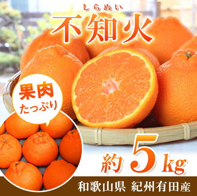 G7356_【2026年先行予約】不知火 5kg デコポン 柑橘の王様 甘い プリプリ ジューシー 濃厚 フルーツ 果実 果物 柑橘 紀州有田産 国産 食品 食べ物 お取り寄せ 魚鶴商店 和歌山県 湯浅町 送料無料