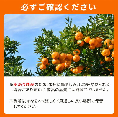 G7359_【2026年先行予約】紀州有田産 不知火 (しらぬい)【家庭用 訳あり】8.5kg