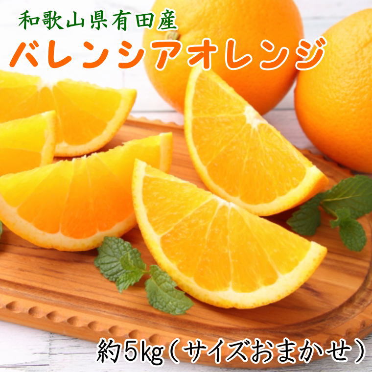 ZD6372n_和歌山県有田産 バレンシアオレンジ約5kg (サイズおまかせ)