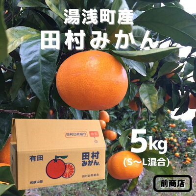 BL6013n_【産地直送】【2026年先行予約】和歌山 湯浅町産 田村みかん 5kg S～Lサイズ混合