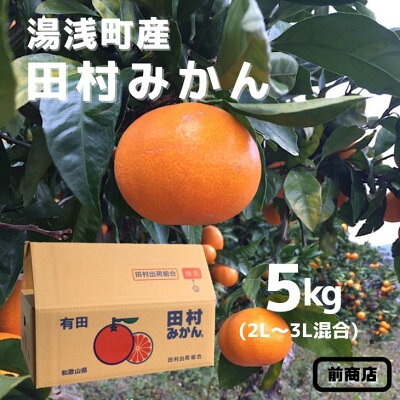 BL6015n_【2026年先行予約】【産地直送】和歌山 湯浅町産 田村みかん 5kg 2L～3Lサイズ混合