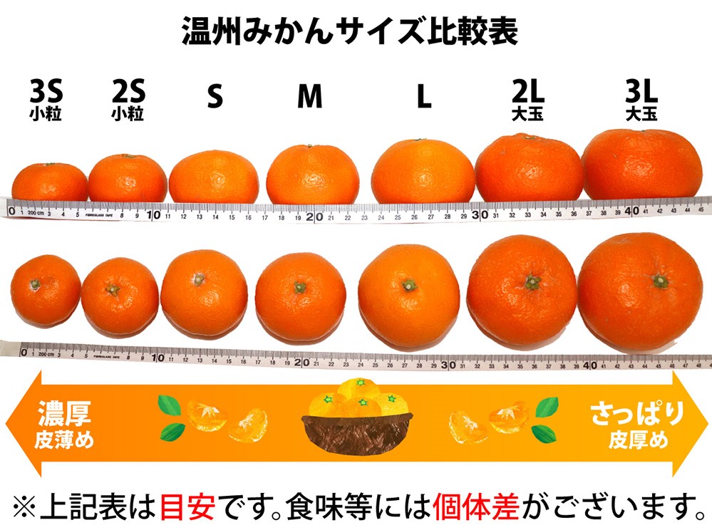 ZA95017_田村みかん 約5kg(Sサイズ)【紀州グルメ市場】