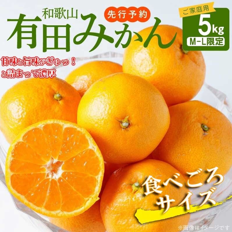 AT6252n_【先行予約】【ご家庭用】有田みかん 約5kg (M、Lサイズ)【湯浅町】