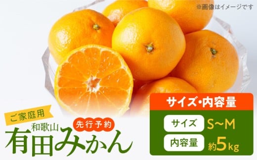 AT6321_ご家庭用　有田みかん 約5kg (S、Mサイズ)【湯浅町】