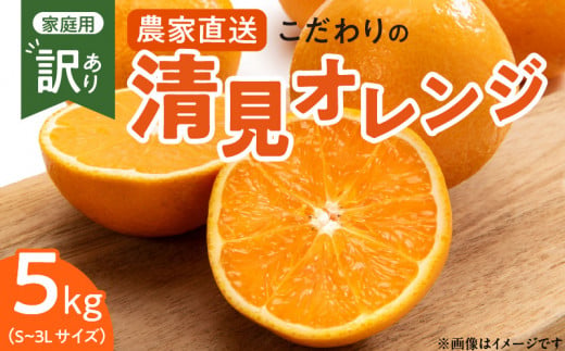 ZT6230n_こだわりの 清見 オレンジ 【訳あり 家庭用】 5kg 藤秀園