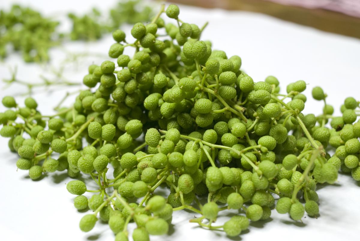 C6031n_まるとも海産【冷蔵】天日干し ちりめん 400g (200g×2) ちりめん山椒 400g (200g×2) セット 紀州湯浅湾直送！