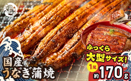 G7004_大型サイズ ふっくら柔らか 国産うなぎ 蒲焼き 容量 発送時期 土用の丑の日 お取り寄せ お取り寄せグルメ