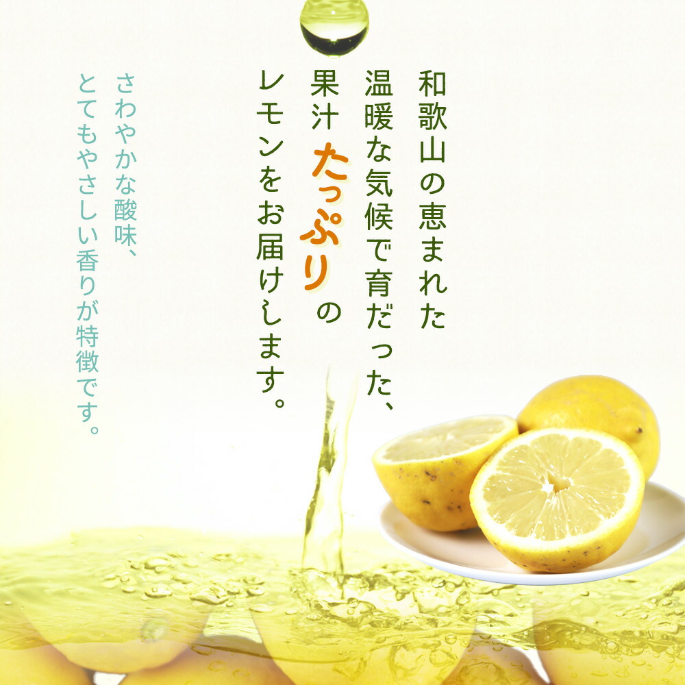 G7069_縲2026蟷エ蜈郁。御コ育エ縲代舌#螳カ蠎ュ逕ィ 險ウ縺ゅj縲醍エ蟾樊怏逕ー逕」繝ャ繝「繝ウ 2.5kg