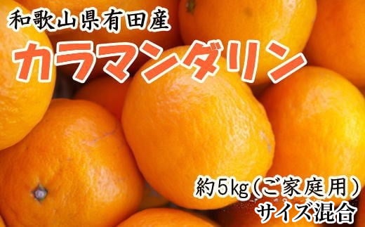 ZD6705n_【2026年先行予約】【春みかん】和歌山県有田産カラマンダリン約5kg（サイズ混合　ご家庭用）