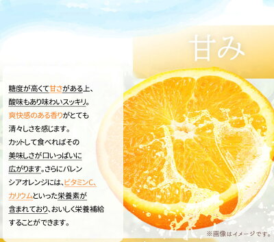 G7080_希少な 国産 バレンシアオレンジ 7kg 【家庭用 訳あり】【国産オレンジ オレンジ 柑橘 フルーツ 和歌山 有田】