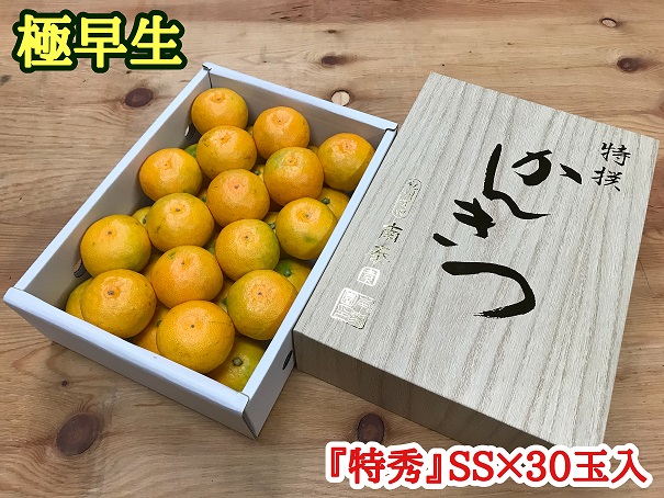 ZF6024n_極早生 みかん 有田 化粧箱 小箱 特秀 SSサイズ 約2kg 30玉入 南泰園