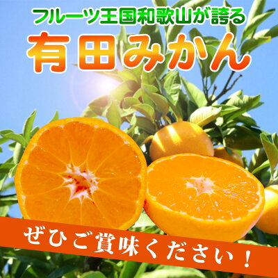 AT6315_ãå®¶åºçšãæç°ã¿ãã çŽ7kg (2Lã3Lãµã€ãº)ãæ¹¯æµ
çºã