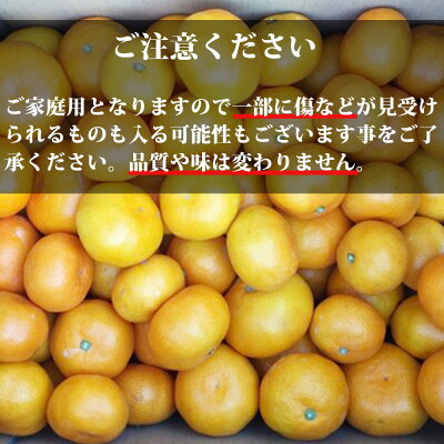 AT6315_ãå®¶åºçšãæç°ã¿ãã çŽ7kg (2Lã3Lãµã€ãº)ãæ¹¯æµ
çºã