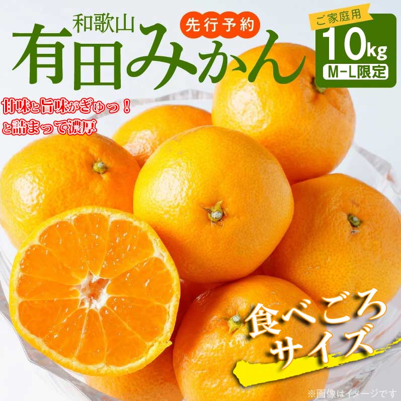 AT6254n_【先行予約】【ご家庭用】有田みかん 約10kg (M、Lサイズ)【湯浅町】