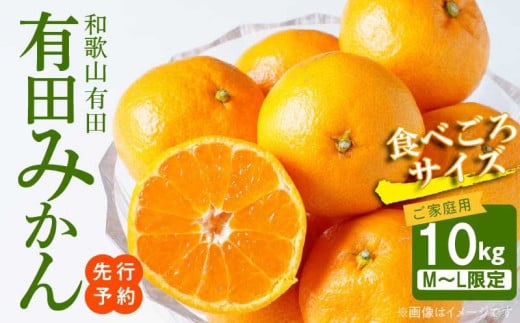 AT6310_縺泌ョカ蠎ュ逕ィ縲譛臥伐縺ソ縺九s 邏10kg (M縲´繧オ繧、繧コ)縲先ケッ豬逕コ縲