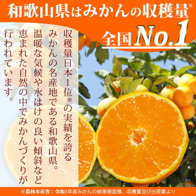 AT6310_縺泌ョカ蠎ュ逕ィ縲譛臥伐縺ソ縺九s 邏10kg (M縲´繧オ繧、繧コ)縲先ケッ豬逕コ縲