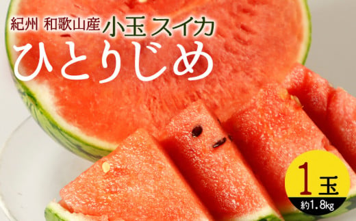 G7076_【2026年先行予約】紀州 和歌山産 小玉 スイカ 「ひとりじめ」 1玉