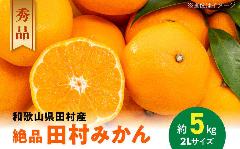 AB7114n_【和歌山特産品】【プレミアムブランド】絶品！ 田村みかん 秀品 2Lサイズ 約5kg