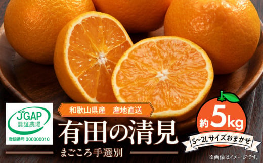 ZE6114n_【2026年先行予約】和歌山県産 有田の 清見 5kg (S～2Lサイズ)（サイズおまかせ）（まごころ手選別）