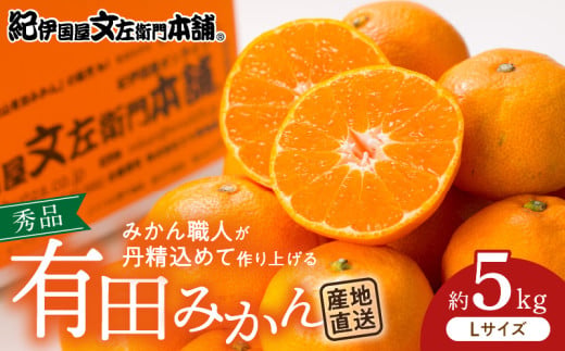 V7435_ブランド有田みかん【Ｌ】秀品5kg 薄皮で甘い美味しい みかん（お届け日指定不可）