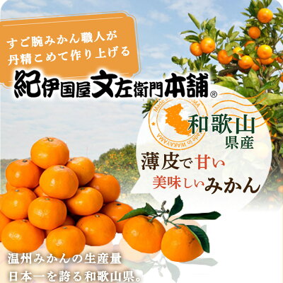 V7045_【2024年 先行予約】ブランド有田みかん【Ｌ】秀品 5kg 薄皮で甘い美味しい みかん（お届け日指定不可）