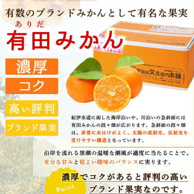 【2026年先行予約】ブランド有田みかん【Ｓ】秀品5kg 薄皮で甘い美味しいみかん（お届け日指定不可）_V7437