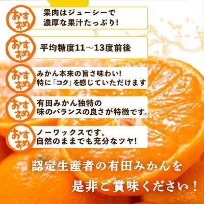 【2026年先行予約】ブランド有田みかん【Ｓ】秀品5kg 薄皮で甘い美味しいみかん（お届け日指定不可）_V7437